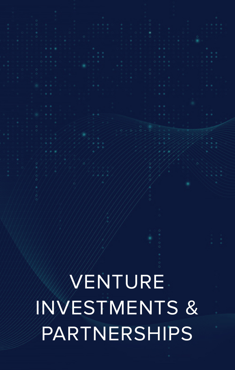 Venture Investment & Partnerships SDF